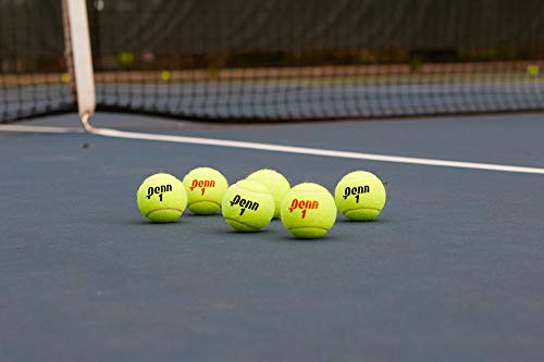 Penn Championship Extra Duty Tennis Balls, 15 Cans (45 Balls)
