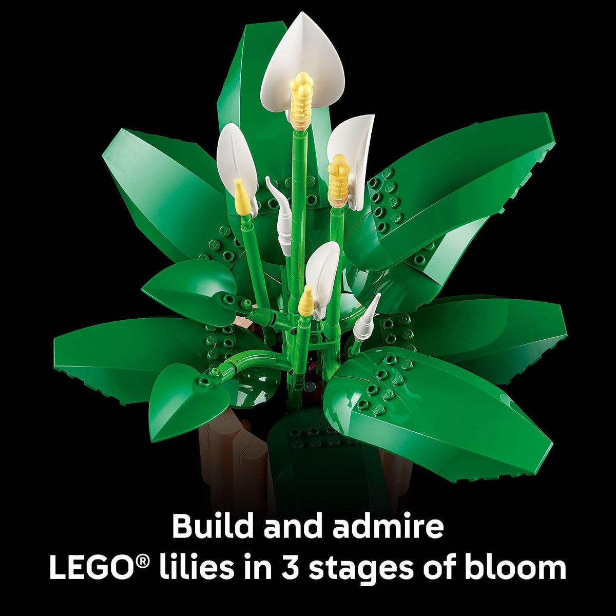 LEGO Botanicals Peace Lily (11504)