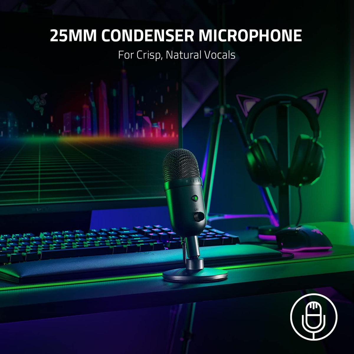 Razer Seiren V2 X USB Condenser Microphone for Streaming and Gaming