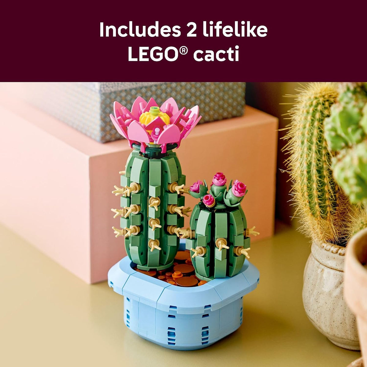 LEGO Botanicals Flowering Cactus (11509)